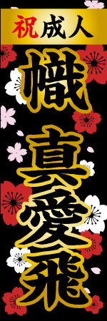 祝成人 名入れのぼり