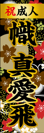 祝成人 名入れのぼり