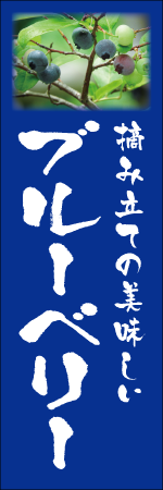摘み立ての美味しいブルーベリーのぼり