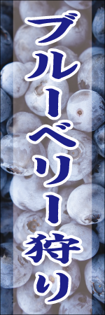 ブルーベリー狩りのぼり