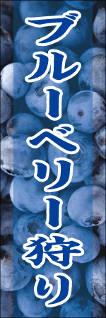 ブルーベリー狩りのぼり