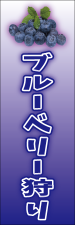 ブルーベリー狩りのぼり