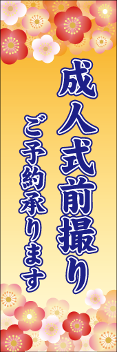 成人式前撮りのぼり