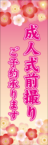 成人式前撮りのぼり