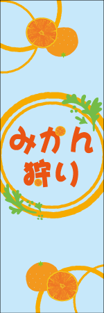 みかん狩りのぼり