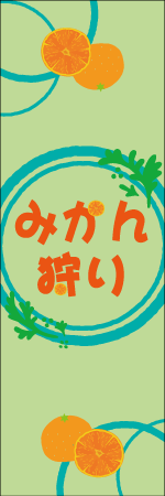 みかん狩りのぼり