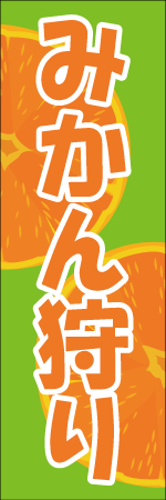 みかん狩りのぼり