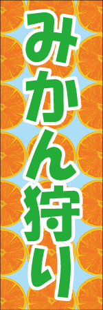 みかん狩りのぼり