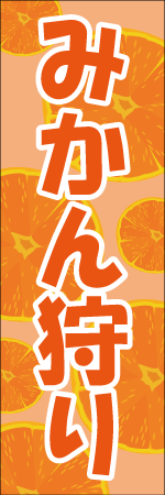 みかん狩りのぼり