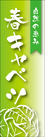 春キャベツのぼり