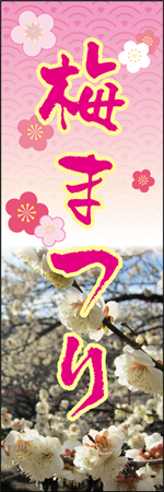 梅まつりのぼり