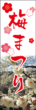 梅まつりのぼり