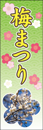 梅まつりのぼり