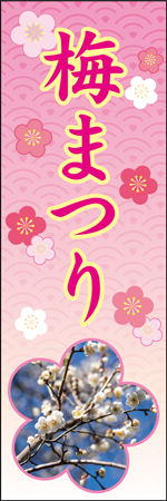 梅まつりのぼり